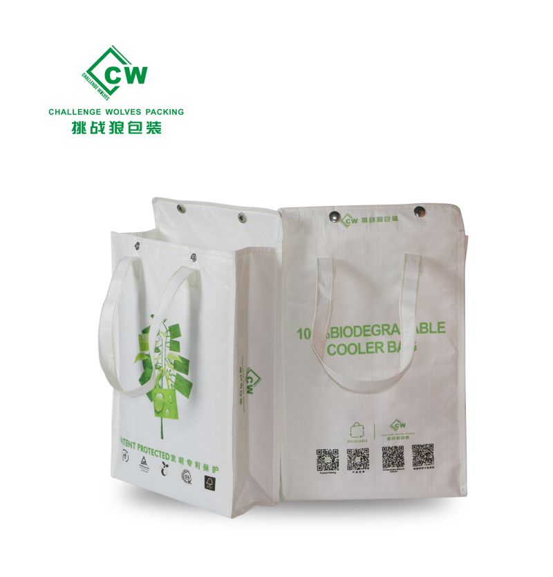 Eco Friendly Non Woven Bag na May Print