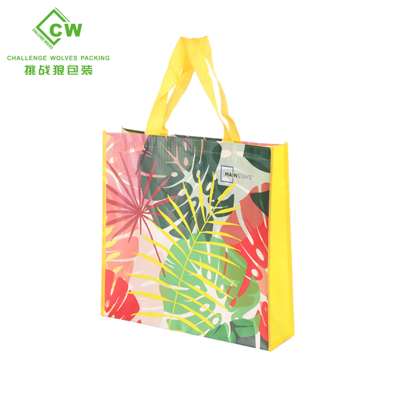 Mga Non Woven Bag